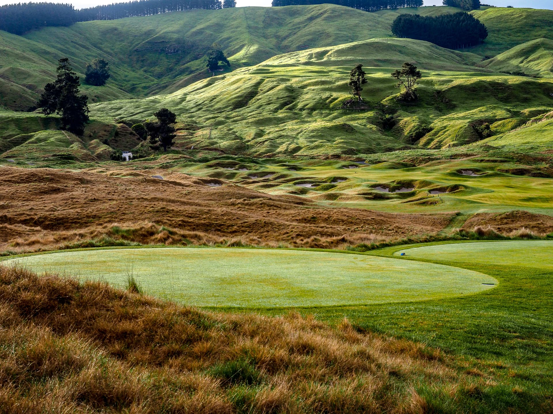 New Zealand & Australia — Kinloch, Taupo