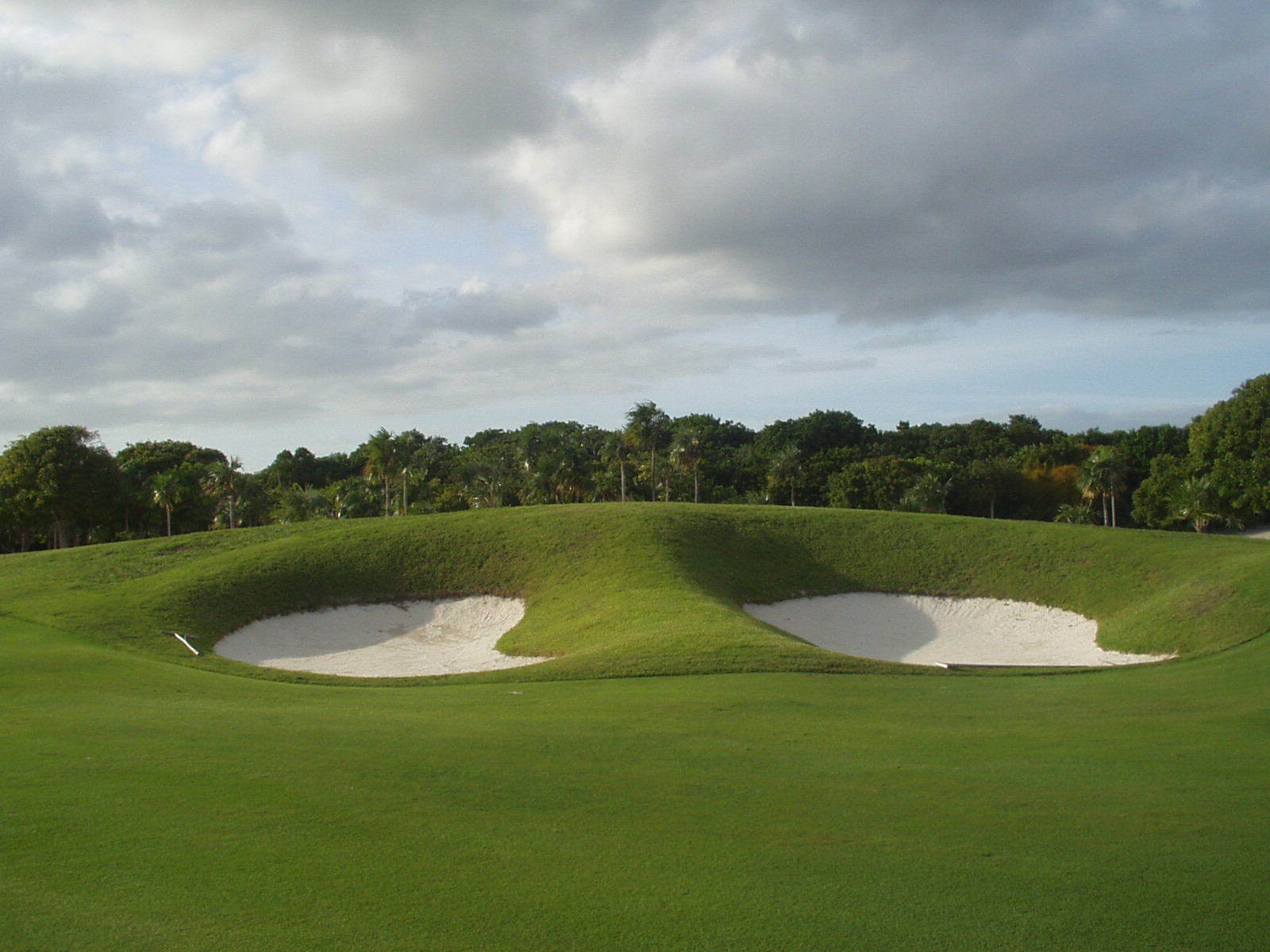Fairway approach with white bunkers, palm trees, and a clouded sky